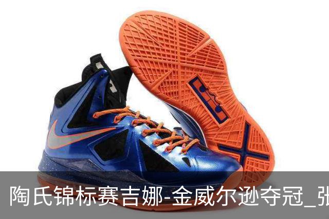 陶氏锦标赛吉娜-金/威尔逊夺冠 张维维/张雅惠T12